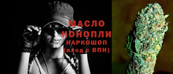 apvp Бородино
