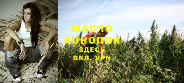apvp Бородино