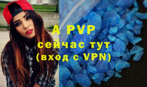 прущие крисы Богданович