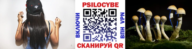 где найти   Новомичуринск  мега ONION  Псилоцибиновые грибы MAGIC MUSHROOMS 